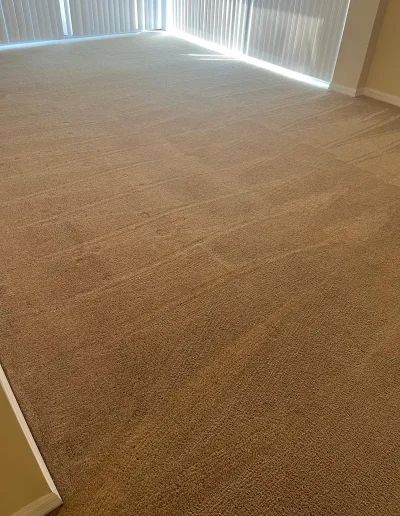 Carpet after professional cleaning