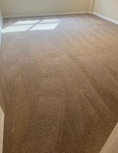 Carpet after low-moisture cleaning
