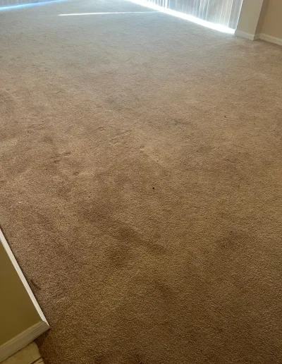Carpet before professional cleaning