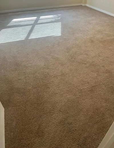 Carpet before low-moisture cleaning